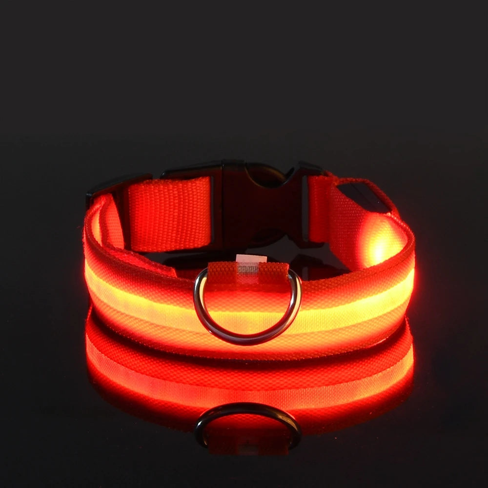 Luminous Dog Leash & Collar – Night Safety Light-Up Gear