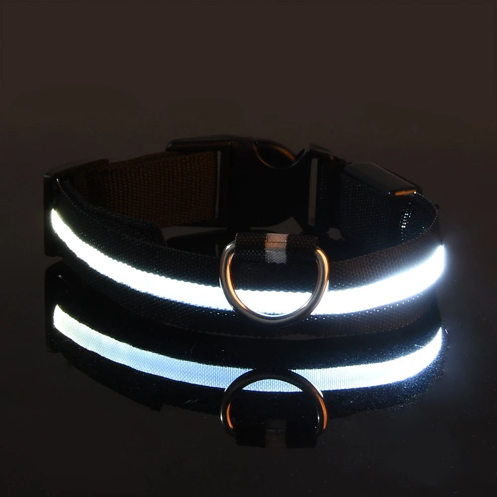 Luminous Dog Leash & Collar – Night Safety Light-Up Gear