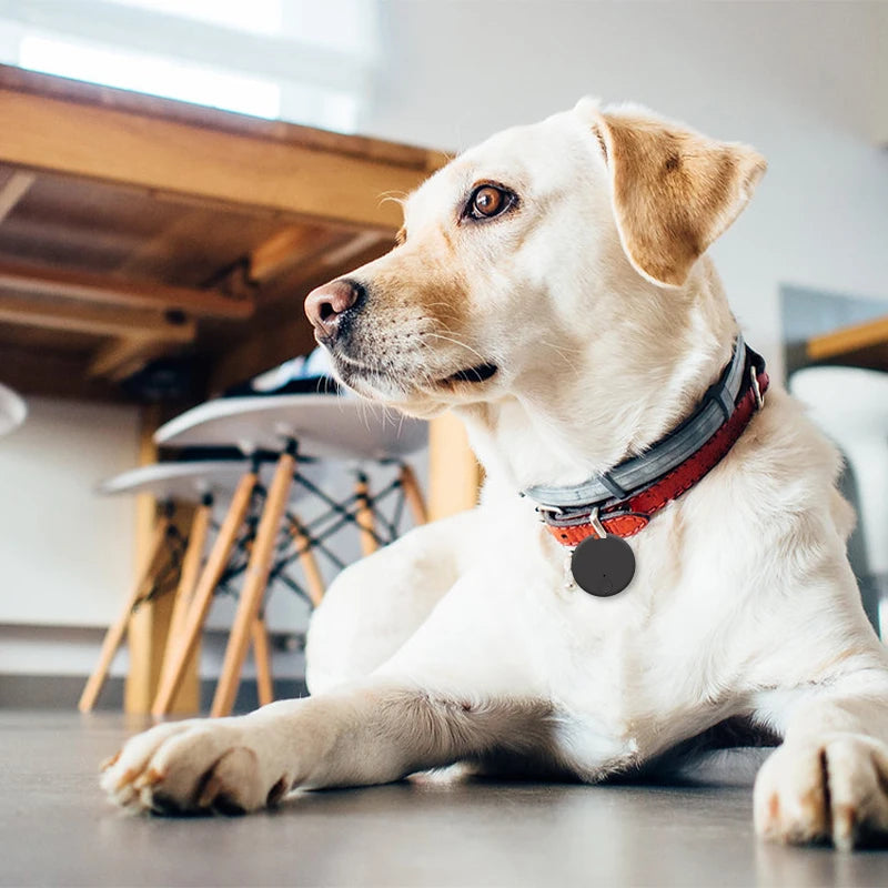 Smart Bluetooth GPS Tracker & Anti-Lost Finder