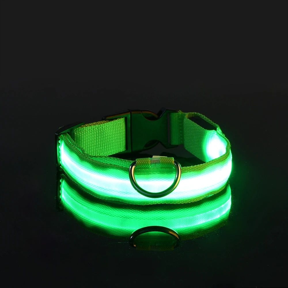 Luminous Dog Leash & Collar – Night Safety Light-Up Gear