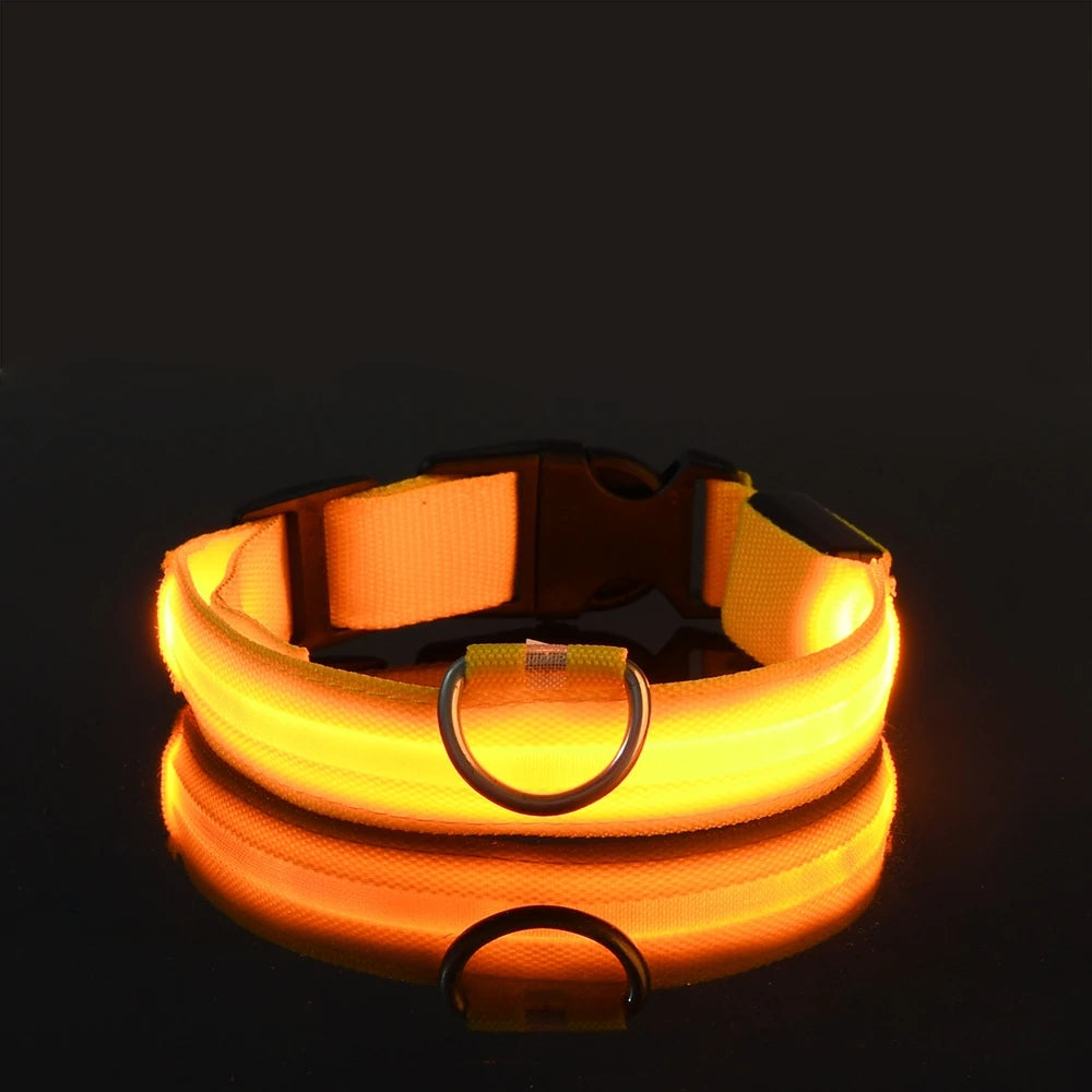 Luminous Dog Leash & Collar – Night Safety Light-Up Gear