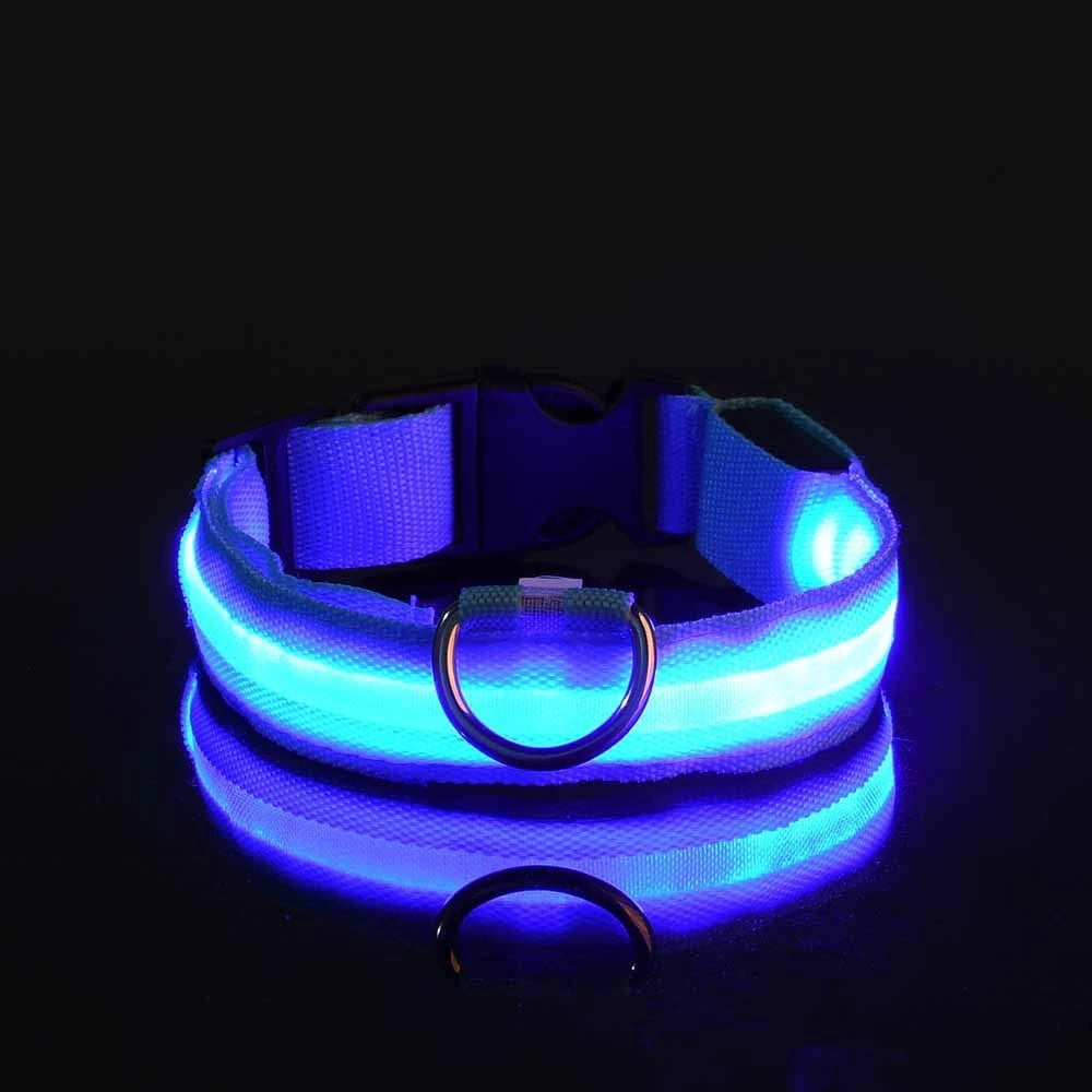 Luminous Dog Leash & Collar – Night Safety Light-Up Gear