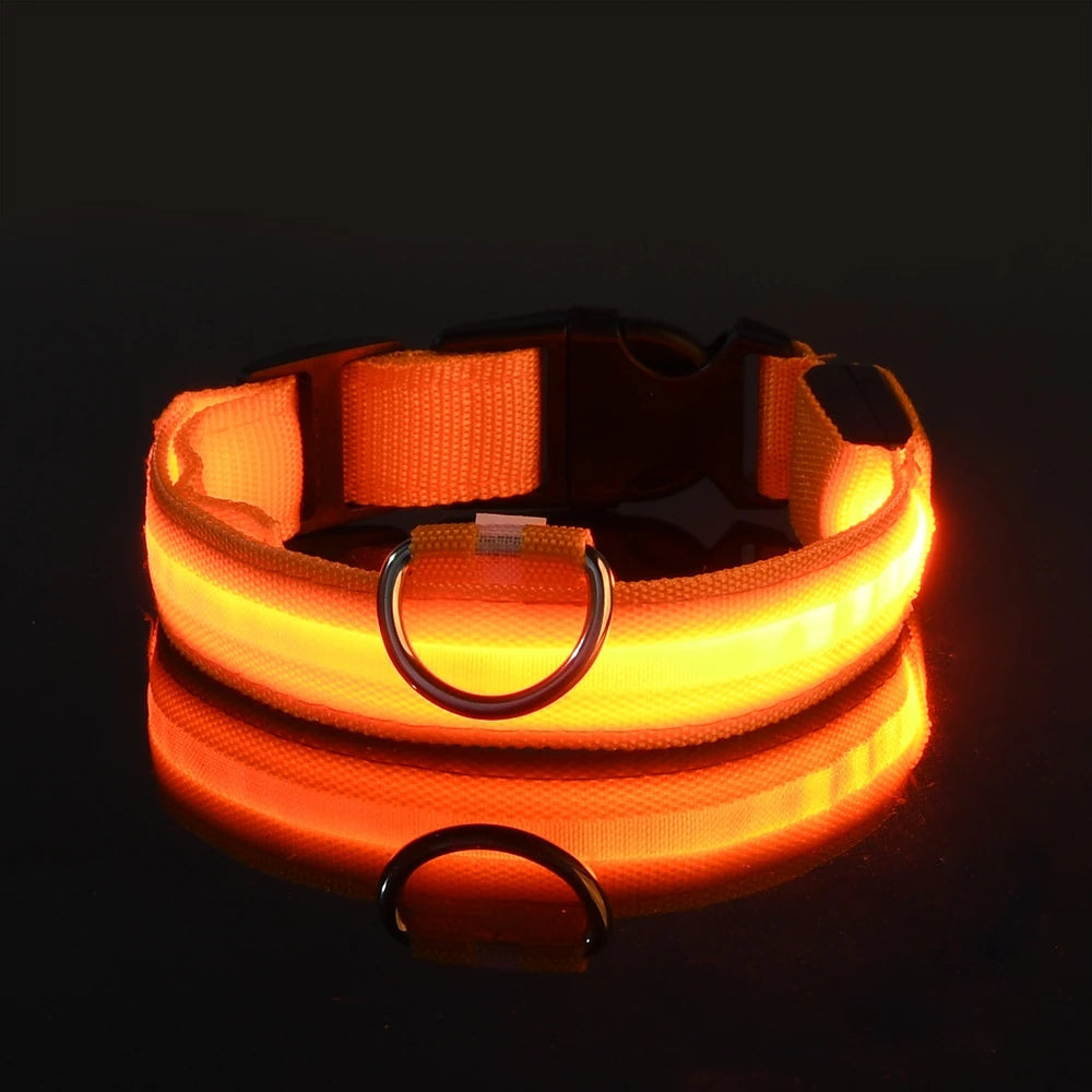 Luminous Dog Leash & Collar – Night Safety Light-Up Gear