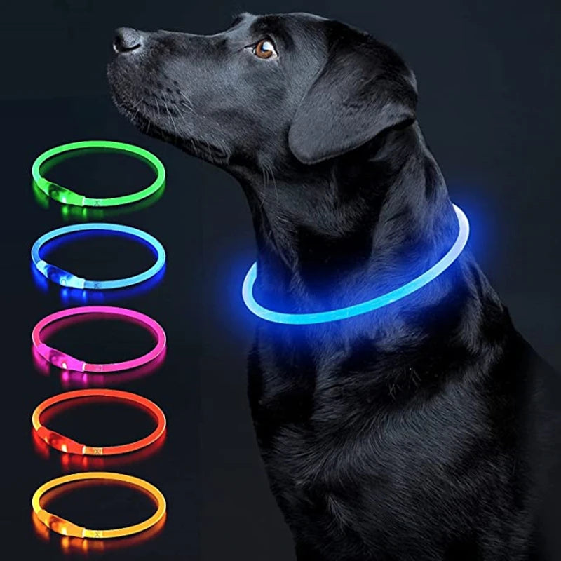 Luminous Dog Collar Light Charge Cat Necklace, Led Fashion Flashing DIY Glowing Safety Collar for Dogs Nighttime Pet Accessorie