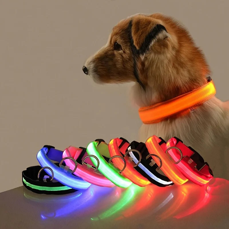 Luminous Dog Leash & Collar – Night Safety Light-Up Gear