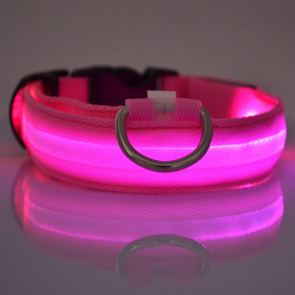 Luminous Dog Leash & Collar – Night Safety Light-Up Gear