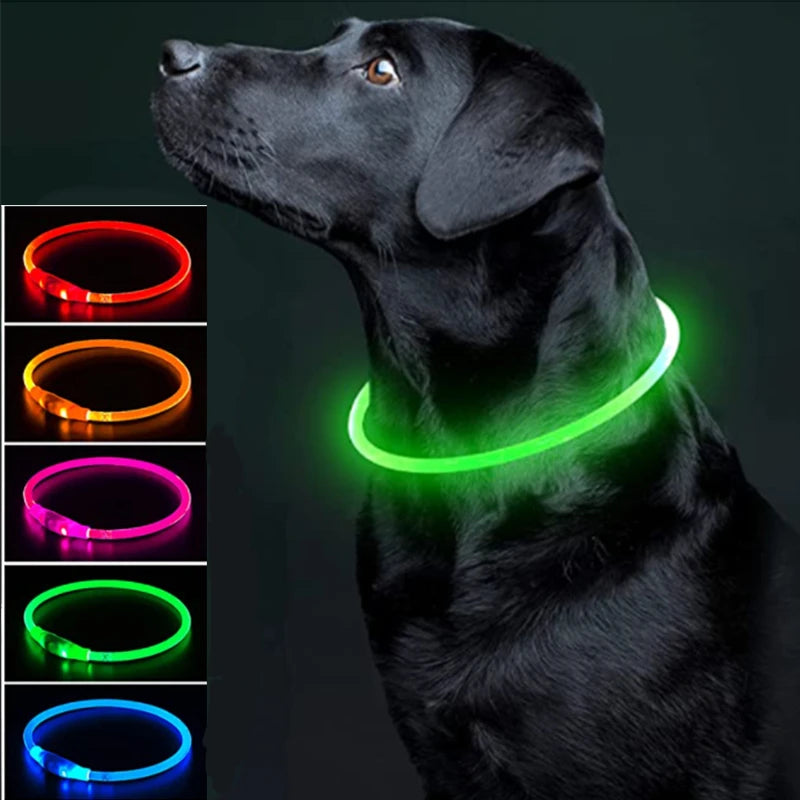 Luminous Dog Collar Light Charge Cat Necklace, Led Fashion Flashing DIY Glowing Safety Collar for Dogs Nighttime Pet Accessorie