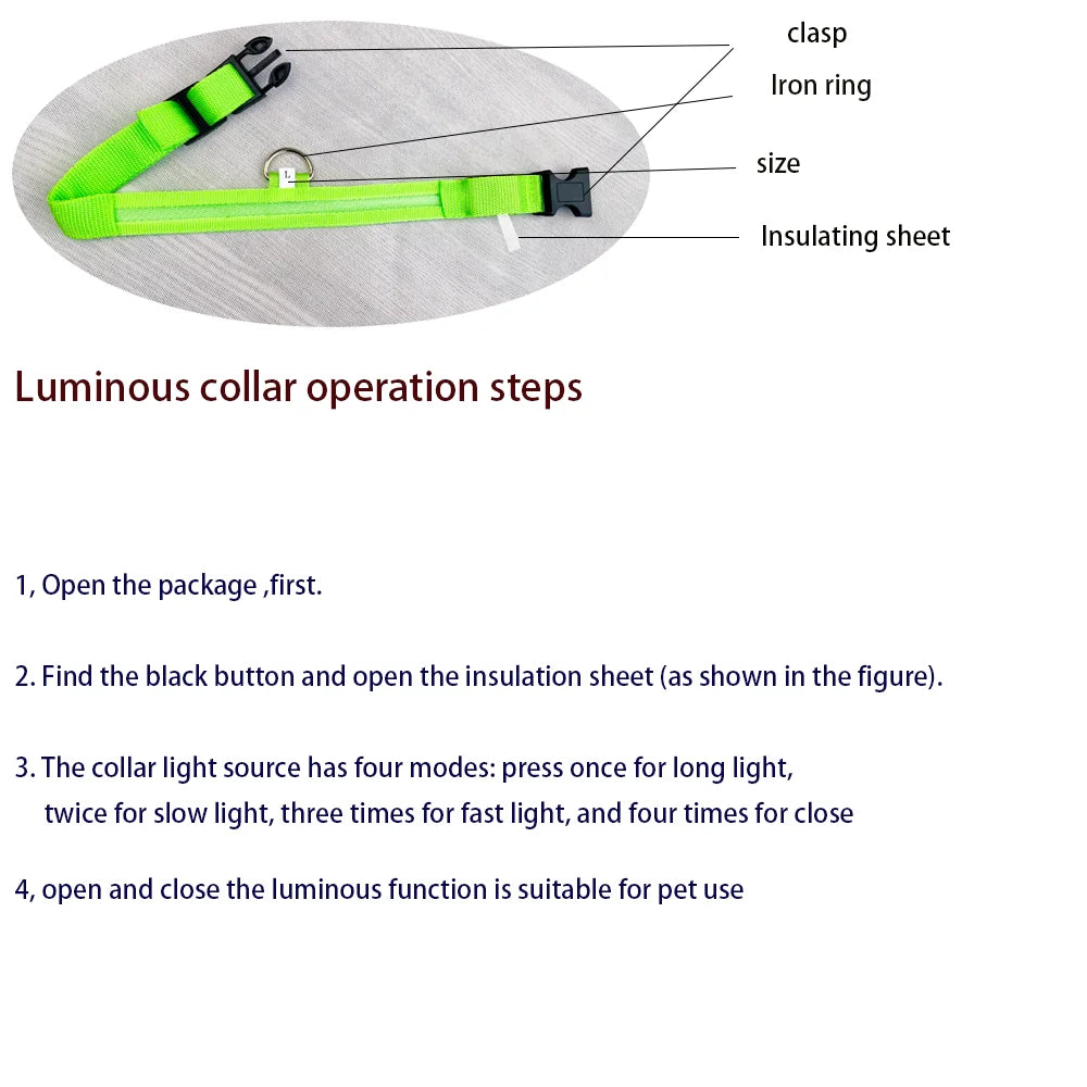 Luminous Dog Leash & Collar – Night Safety Light-Up Gear