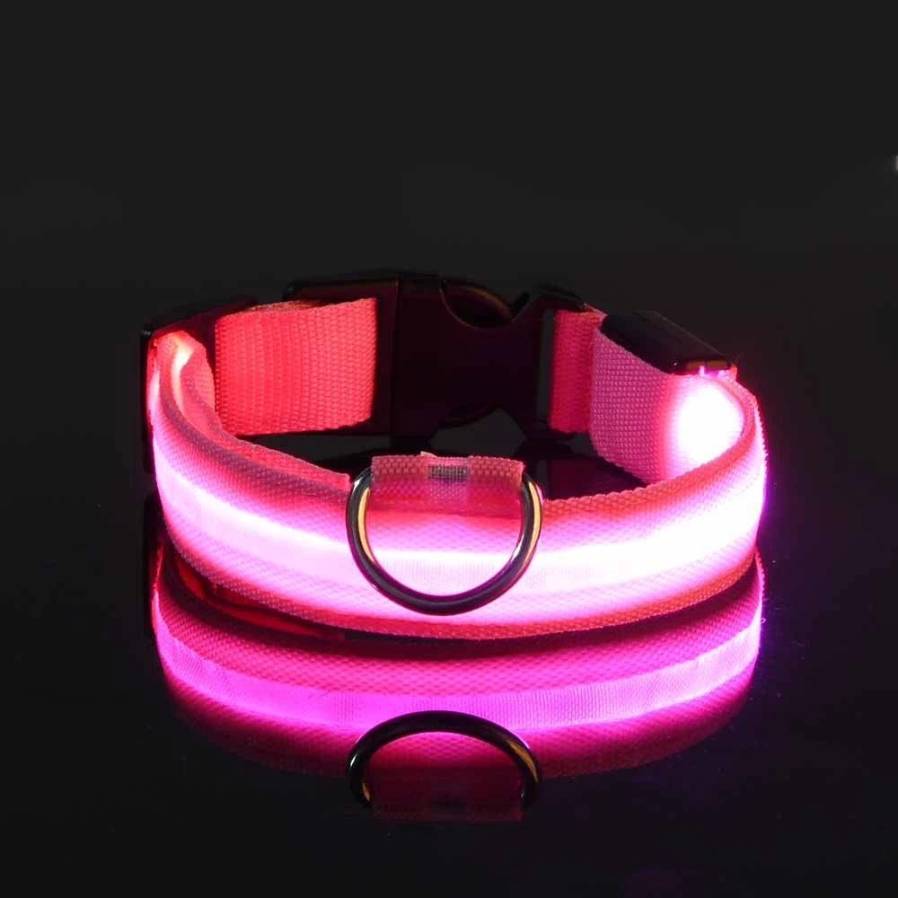 Luminous Dog Leash & Collar – Night Safety Light-Up Gear