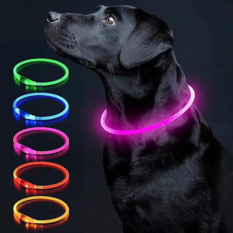 Luminous Dog Collar Light Charge Cat Necklace, Led Fashion Flashing DIY Glowing Safety Collar for Dogs Nighttime Pet Accessorie