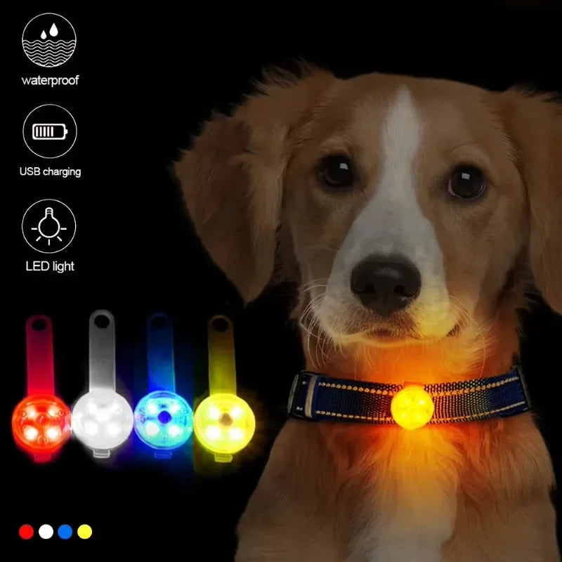 Dog collar, loss collar, weatherproof LED safety light, USB rechargeable LED light collar, dog, cat, pet